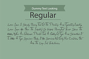 Evolution Font, a Serif Font by Photoshop Action (Thumbnail 5 of 8)
