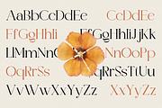 Valooron - Business Font, a Serif Font by RockboyStd (Thumbnail 8 of 12)