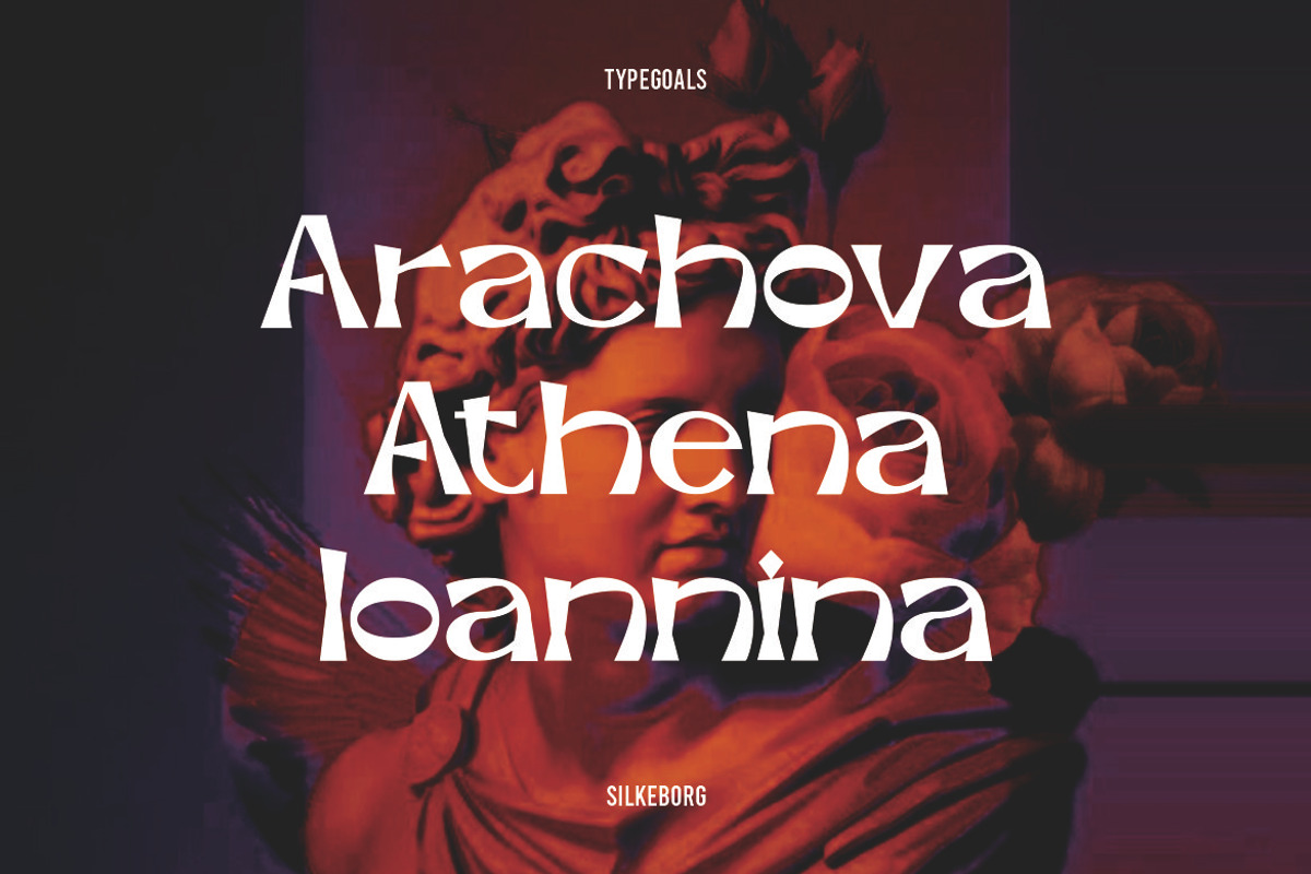 Silkeborg Display Font, a Sans Serif Font by Typegoals Studio (Photo 8 of 9)