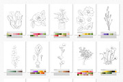 Digital Sketches & Color Palettes, a Palette Add-On by Julia Dreams (Thumbnail 3 of 7)