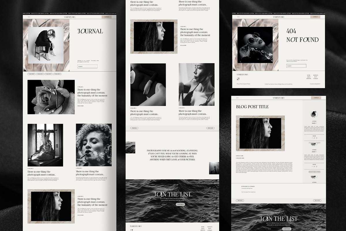 Showit Blog Add on Template, a Landing Page Template by Digital&Chic (Photo 5 of 7)