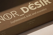 Arcilla — Variable Editorial Serif, a Serif Font by SilverStag Type Foundry (Thumbnail 14 of 31)
