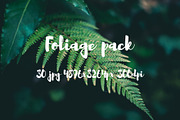 Foliage pack, a Templates & Theme by ApertureVintage (Thumbnail 13 of 21)