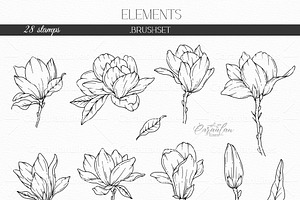 MAGNOLIA PROCREATE STAMP