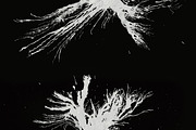 Ink backgrounds, a Texture Graphic by Little Fonts (Thumbnail 2 of 5)