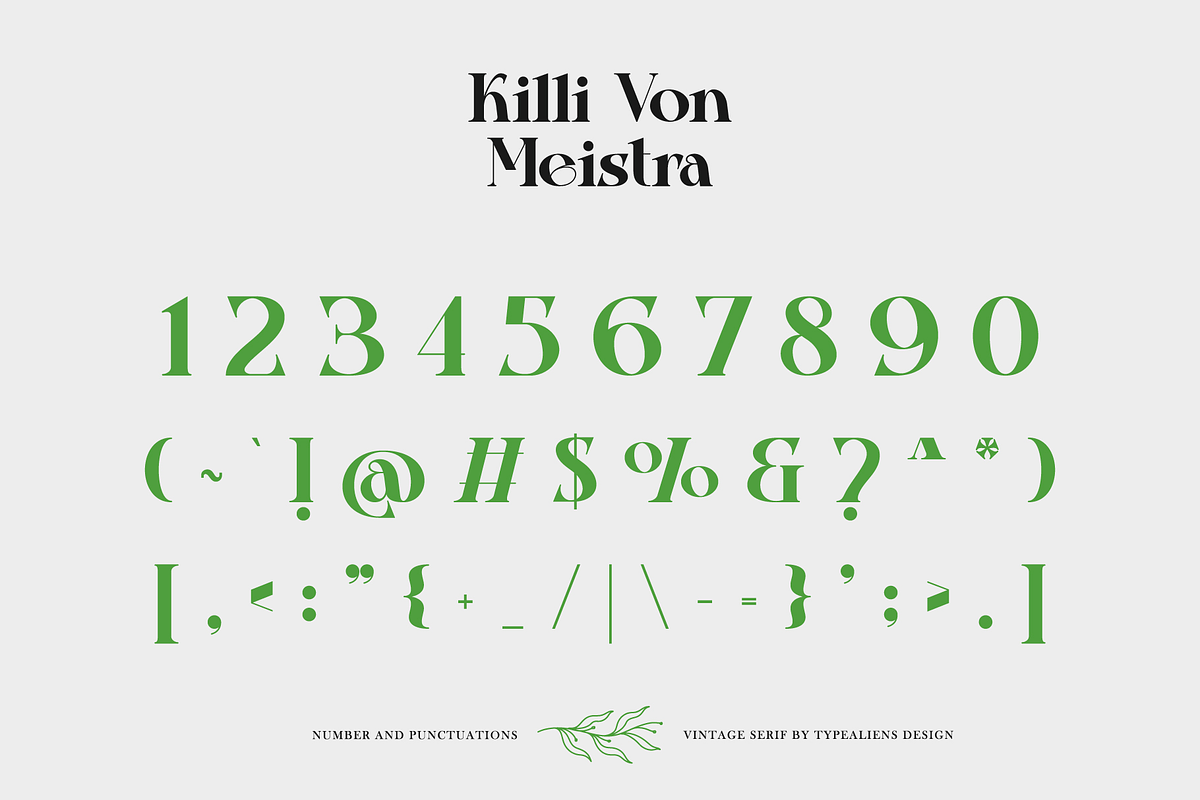 Killi Von Meistra, a Serif Font by ilhamtaro (Photo 8 of 11)