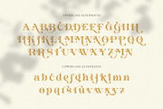 Glirock || Modern Ligature Serif, a Serif Font by BrandSemut (Thumbnail 12 of 13)