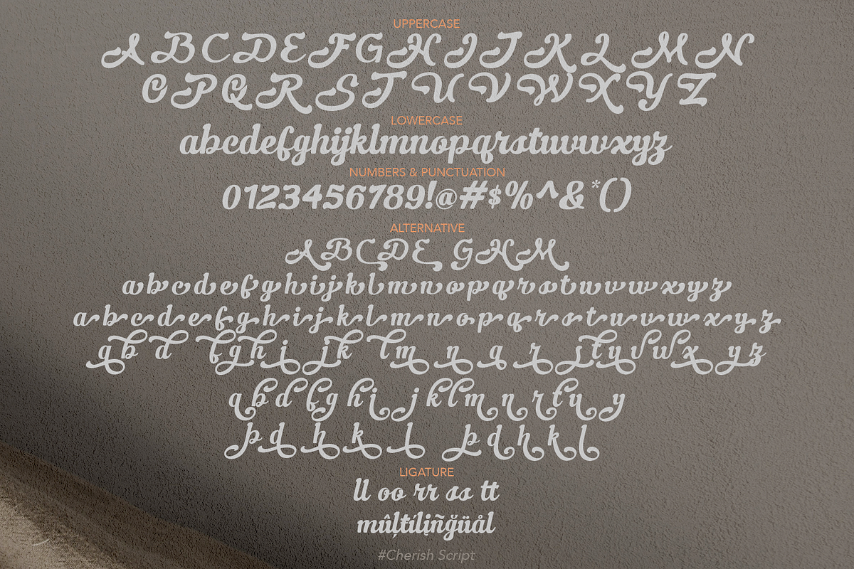 Cheris Script, a Font by madeDeduk (Photo 10 of 10)