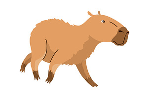 Capybara. Cartoon cute animal, wild, an Animal Illustration by the8monkey