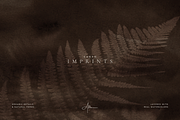 Nature Texture Backgrounds, a Background Graphic by Altea Design Studio (Thumbnail 2 of 20)
