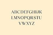 Bernadine Aleyshia Classic Serif, a Serif Font by UICreative (Thumbnail 8 of 13)