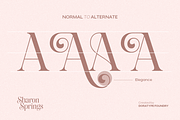 Sharon Springs, a Serif Font by Dora Typefoundry (Thumbnail 6 of 11)