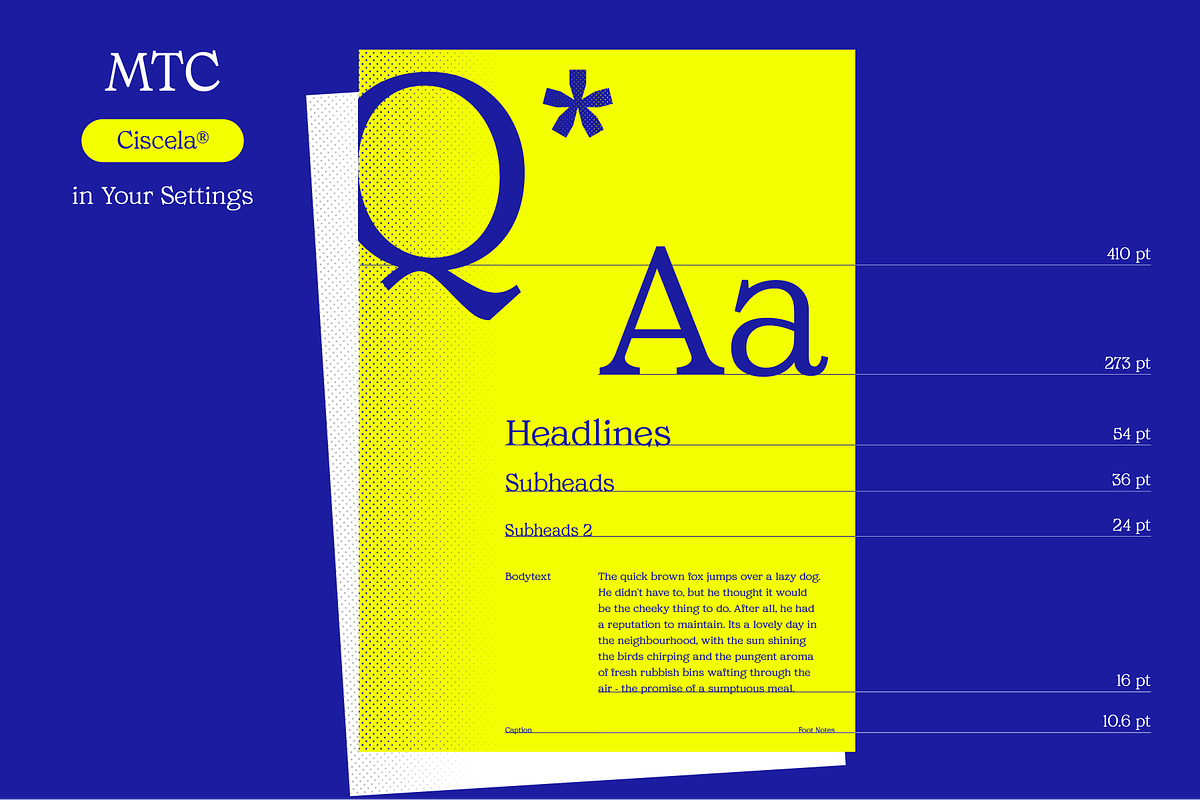 MTC Ciscela - Unique Serif Display, a Serif Font by Martype Co (Photo 6 of 9)