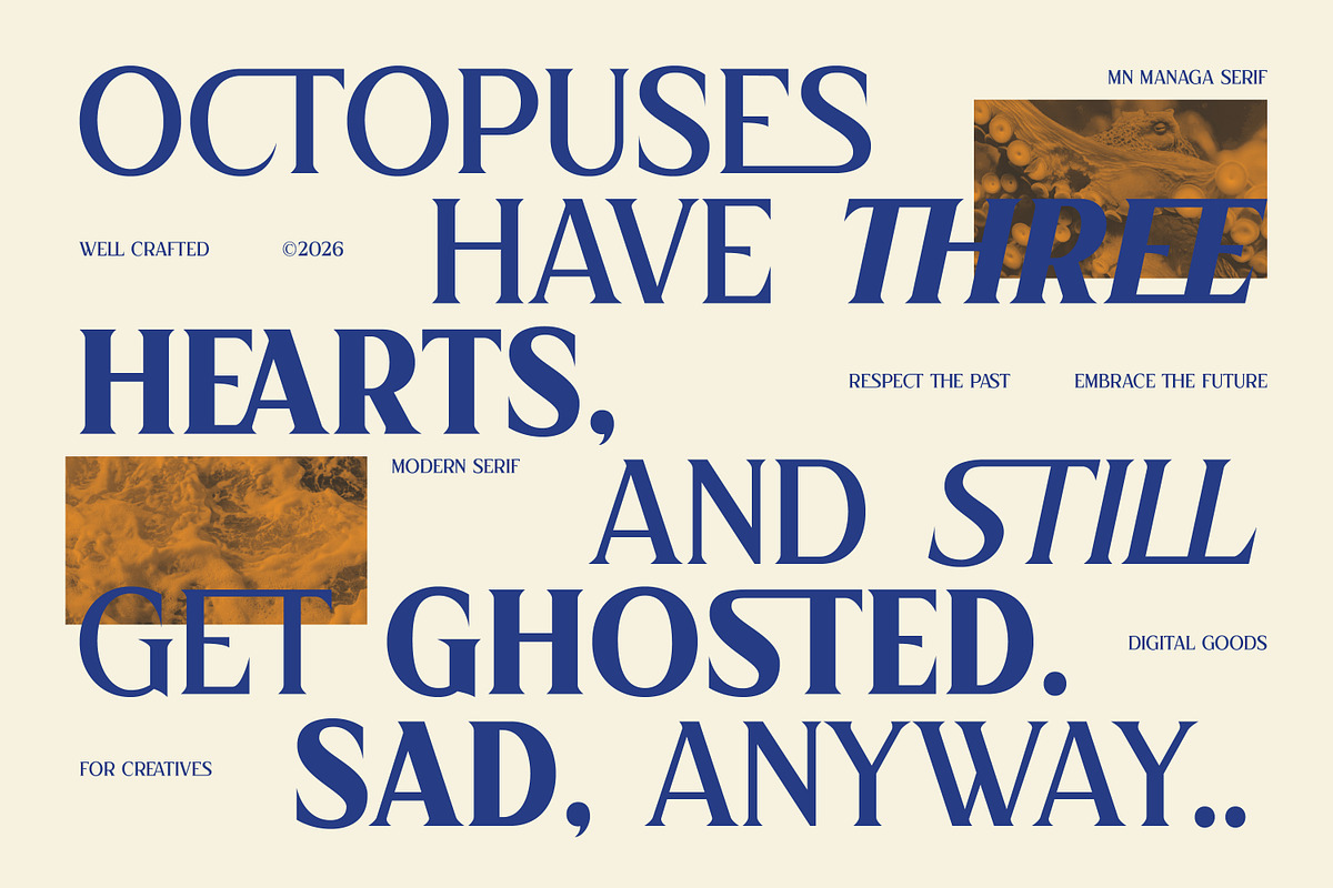 MN Managa Serif - Contemporary Serif, a Serif Font by Mantra Naga (Photo 7 of 18)