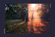 Red Aurora Artistic Lightroom Preset, an Action Add-On by Mark Borbely (Thumbnail 13 of 14)