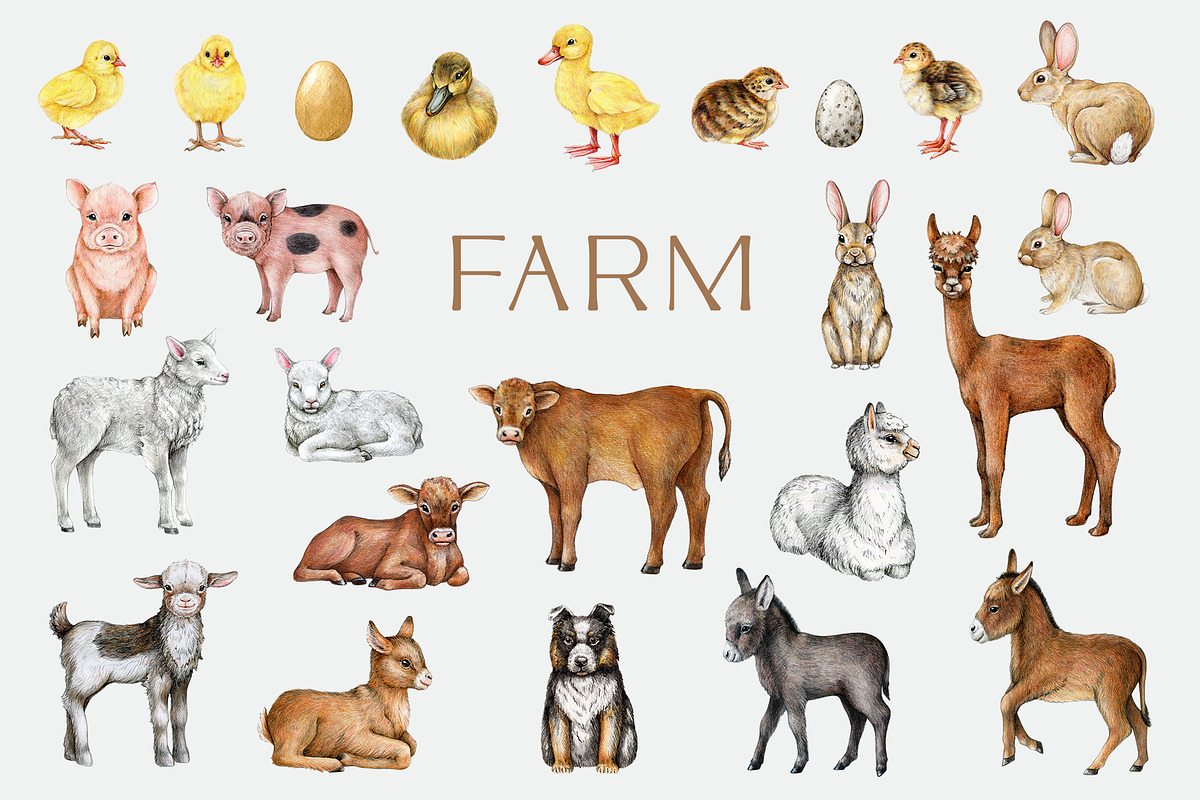 Farm Animals and Birds Clipart, an Animal Illustration by AnitaPol (Photo 19 of 19)