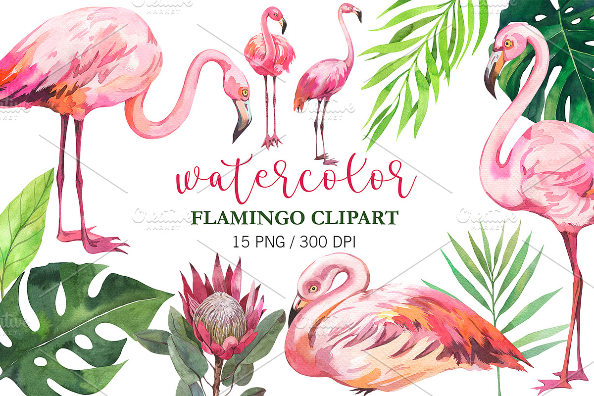 Watercolor Flamingo Clipart, Pink, an Animal Illustration by PatternPalette (Photo 1 of 2)