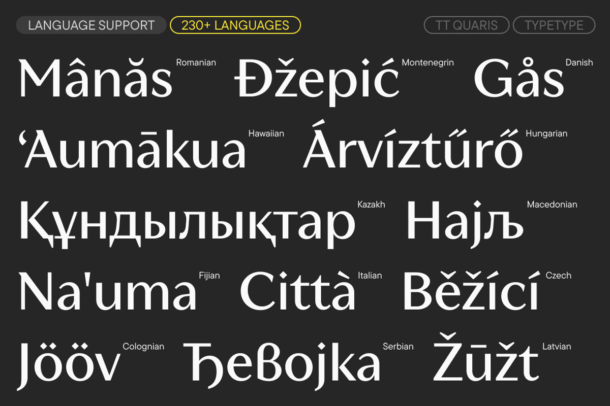 TT Quaris, a Serif Font by TypeType (Photo 7 of 15)