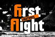 Purgo – Bold New Display Font, a Sans Serif Font by Drizy (Thumbnail 6 of 9)