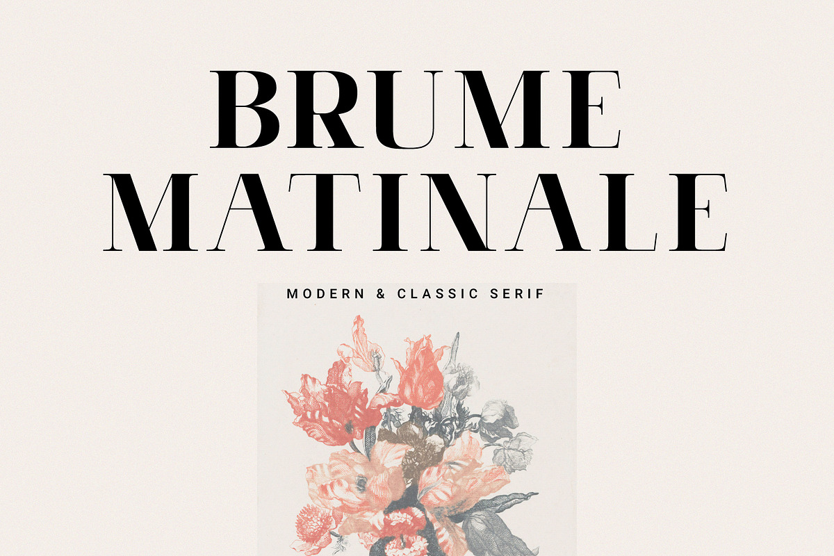 Brume Matinale, a Serif Font by Prioritype Co (Photo 1 of 9)