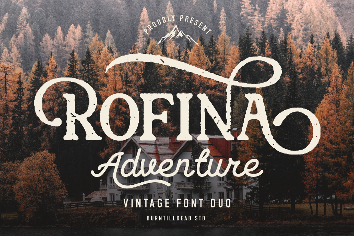 Rofina, a Serif Font by Burntilldead (Photo 1 of 11)
