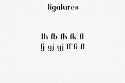 Hashtag Moderna - duo font + Extra, a Serif Font by VP Fonts (Thumbnail 11 of 16)