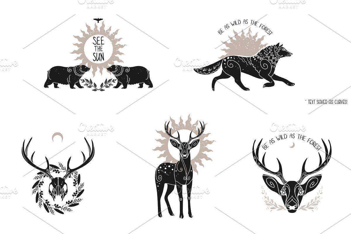 Wild forest. Vector collection, an Animal Illustration by Nadia Murash (Photo 6 of 7)