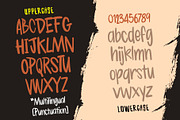 Rebirth, a Handwritten Font by BBtypeStudios (Thumbnail 8 of 8)