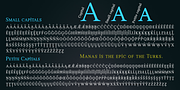 Manas, a Serif Font by Fontuma (Thumbnail 4 of 12)