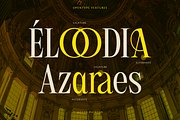 Aglio Picasso | Aesthetic Vintage, a Serif Font by Jolicia Type (Thumbnail 9 of 10)