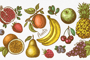 Fruits. Hand Drawn Collection.