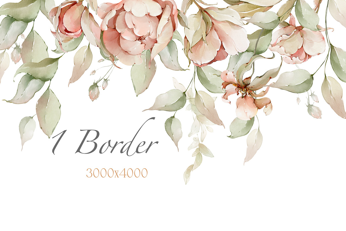 Watercolor flowers summer peony set, a Decorative Illustration by Edith’s World (Photo 12 of 13)