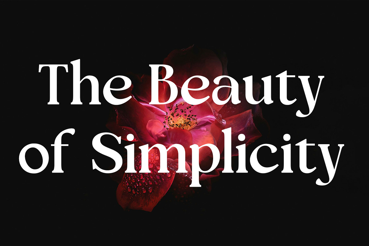 Tensura, a Serif Font by LuhopCreative (Photo 3 of 21)