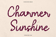 CS Selma Stamp, a Script Font by Craft Supply Co. (Thumbnail 3 of 8)