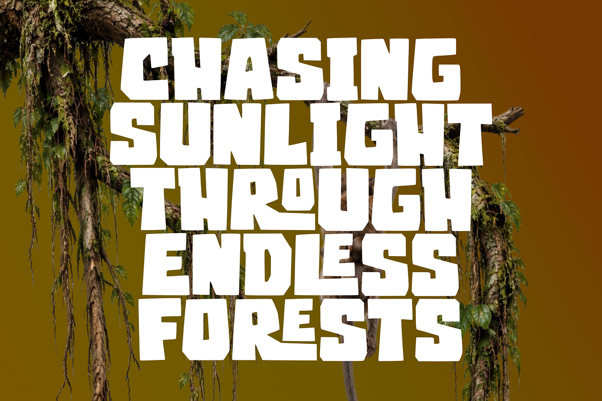 Jungle Remak - Display font, a Handwritten Font by Majelis Art (Photo 2 of 7)
