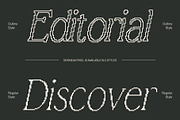 Bornean Pixel, a Serif Font by Craft Supply Co. (Thumbnail 3 of 8)