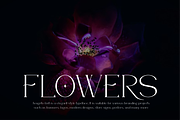 Acageto - Modern Luxury Font, a Serif Font by QR Design Studio (Thumbnail 7 of 16)