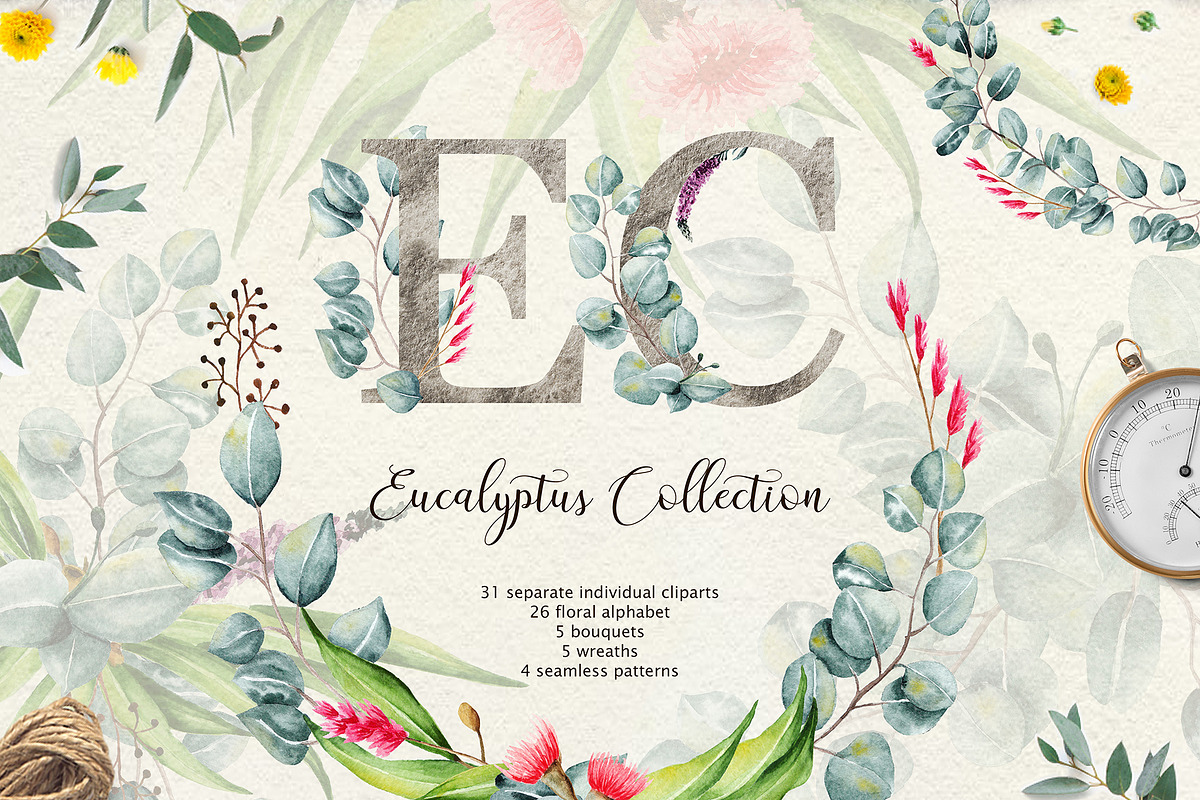 Eucalyptus Collection+Letter, a Decorative Illustration by Astarte_design (Photo 1 of 11)
