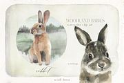 Woodland Babies Wild Animals Clipart, an Animal Illustration by whiteheartdesign (Thumbnail 9 of 28)