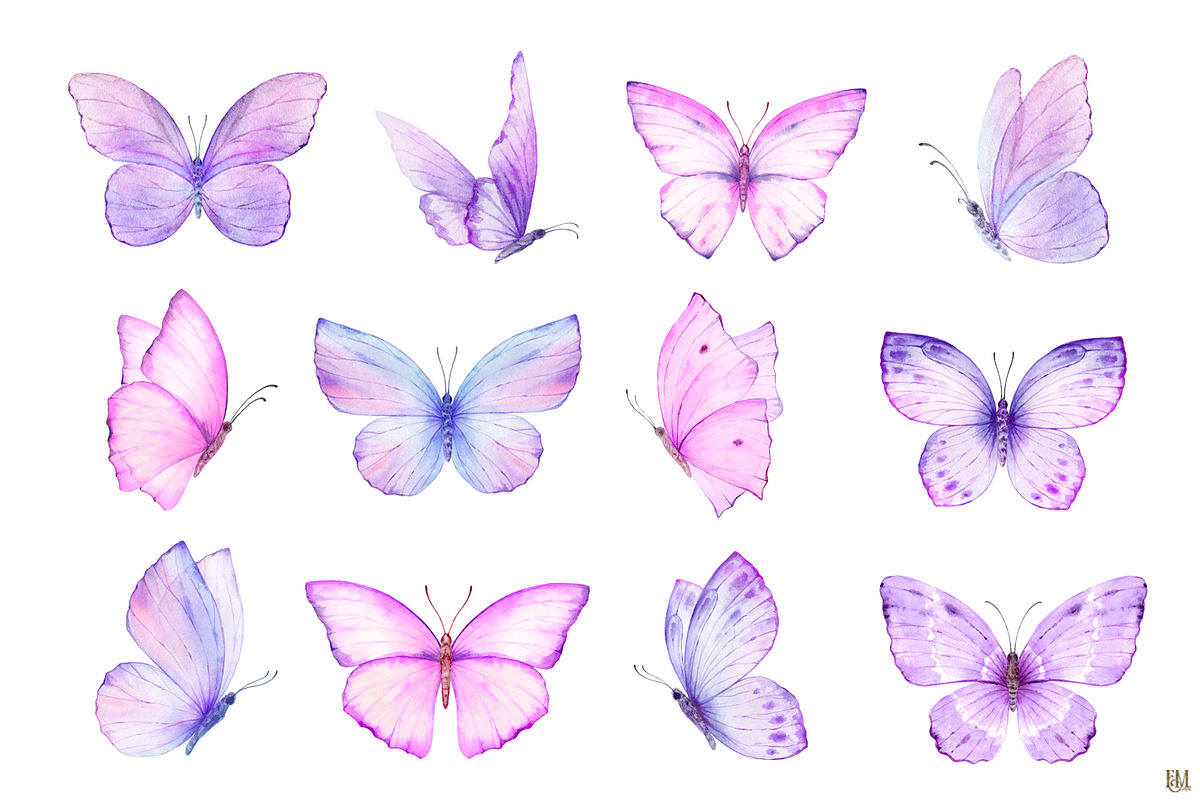 Watercolor Butterflies and Flowers, a Decorative Illustration by Elena Medvedeva (Photo 4 of 12)