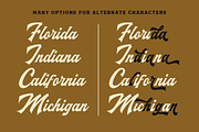 Maltone Script, a Script Font by Letterhend Studio (Thumbnail 9 of 10)