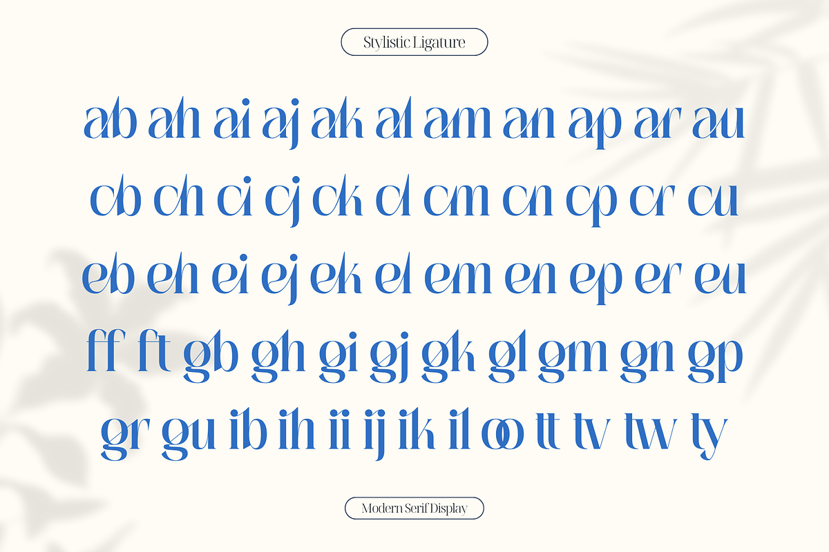 Aguilary Modern - Elegant Logo Font, a Serif Font by Nirmana Visual (Photo 11 of 16)