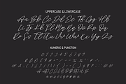 Signature Holiday | Script Font, a Script Font by Scratchones (Thumbnail 8 of 8)