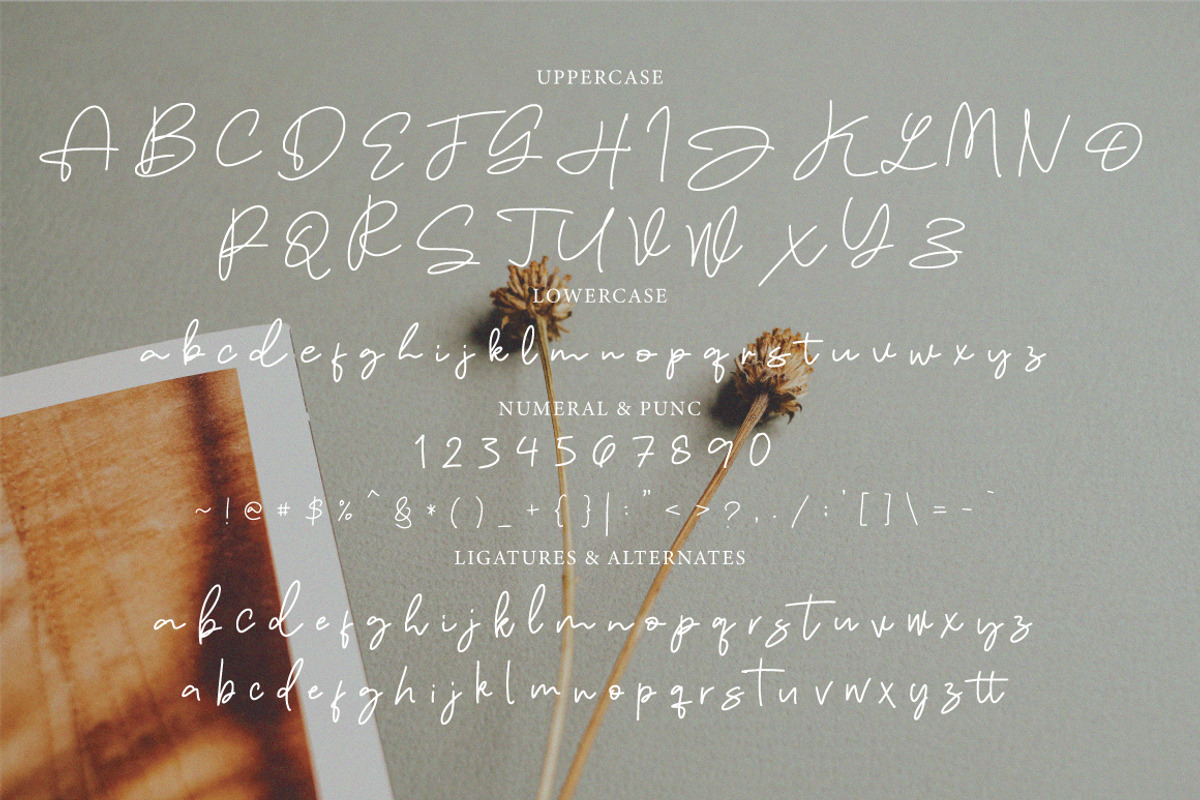 Flisma - Handwritten Signature, a Handwritten Font by tebaltipislab (Photo 4 of 10)
