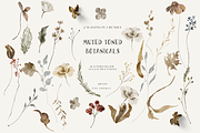 Fall & Winter Woodland Animals set, an Animal Illustration by Grace Noboa Illustrations (Thumbnail 12 of 17)