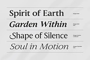 Slingera - Display Serif, a Serif Font by Attract Studio (Thumbnail 8 of 17)