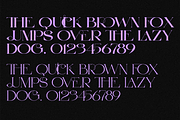Another Elegant Font, a Serif Font by 177Studio (Thumbnail 8 of 8)