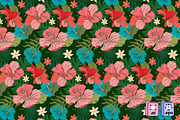 Tropical Hibiscus Floral Pattern, a Pattern Graphic by MISS CHATZ (Thumbnail 3 of 3)