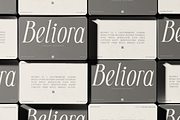 Seraline Orchid – A Graceful Modern, a Serif Font by roomspace creative lab (Thumbnail 5 of 10)