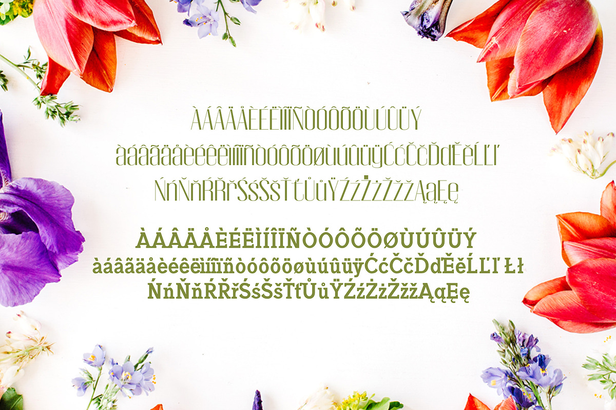 Jadrien Serif + Sans Duo 5 Font Pack preview 4